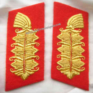 German Army Field Marshall collar tabs in gold wire on red backing. Super!